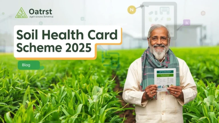 Soil Health Card Guide 2026: Boost Your Farm’s Productivity 5 soil health card