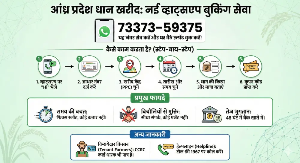 एपी paddy procurement infographic