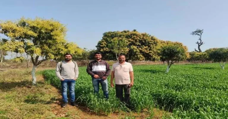 मध्यप्रदेश: एकीकृत खेती से किसान पुरुषोत्तम की बढ़ी आय