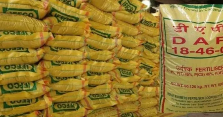Global DAP Price Surge: Kharif Supply Concerns