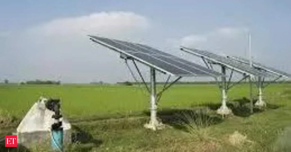 Indian farmer inspecting solar panels co-located with crops in an agri-PV setup under the PM KUSUM scheme.