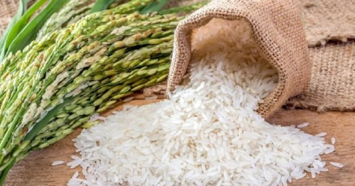 Iran Conflict Threatens India's Basmati Rice Exports