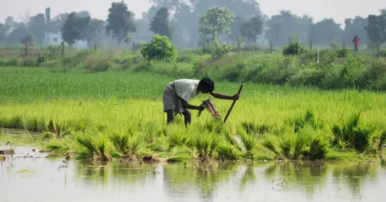 Farmers at a mandi during paddy procurement, with officials discussing new commission rates.