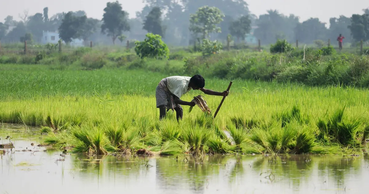 Farmers at a mandi during paddy procurement, with officials discussing new commission rates.