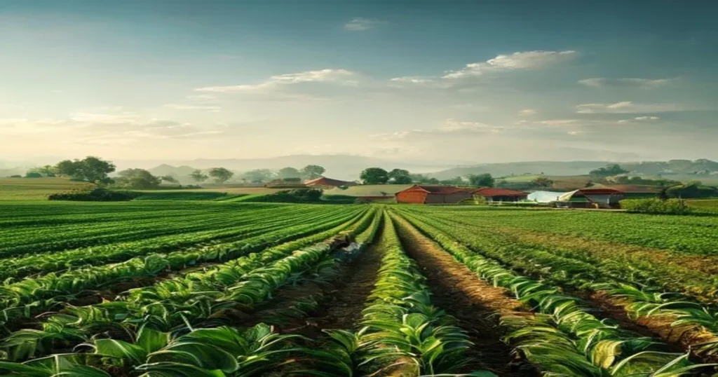 Indian farmer looking at a smartphone to check PMFBY claim status, with green fields in the background for 2026 crop insurance.