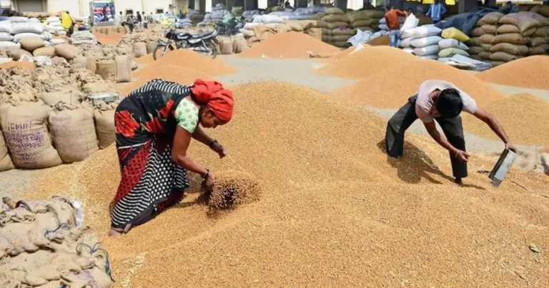 Farmers selling wheat at procurement center, boosted by government agriculture bonus in Rajasthan and Madhya Pradesh.