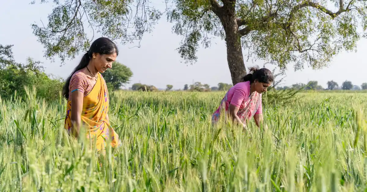 Farmers discussing Rythu Bharosa scheme benefits and support in an agricultural field.