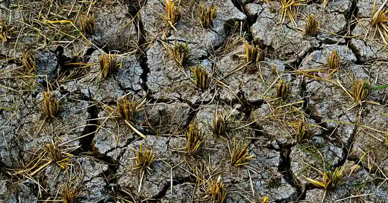 Indian agriculture workers discuss the UP government's minimum wage increase